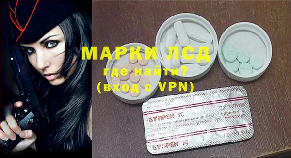 стаф Аркадак