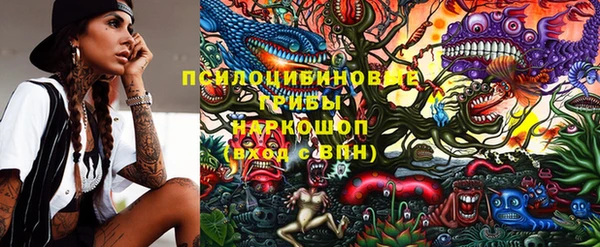 стаф Аркадак