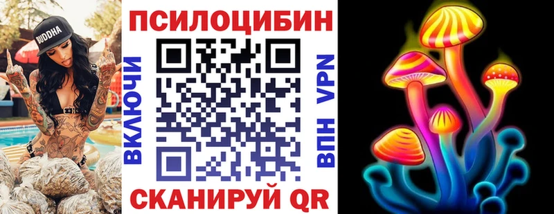 Псилоцибиновые грибы прущие грибы  Купить  Черноголовка 